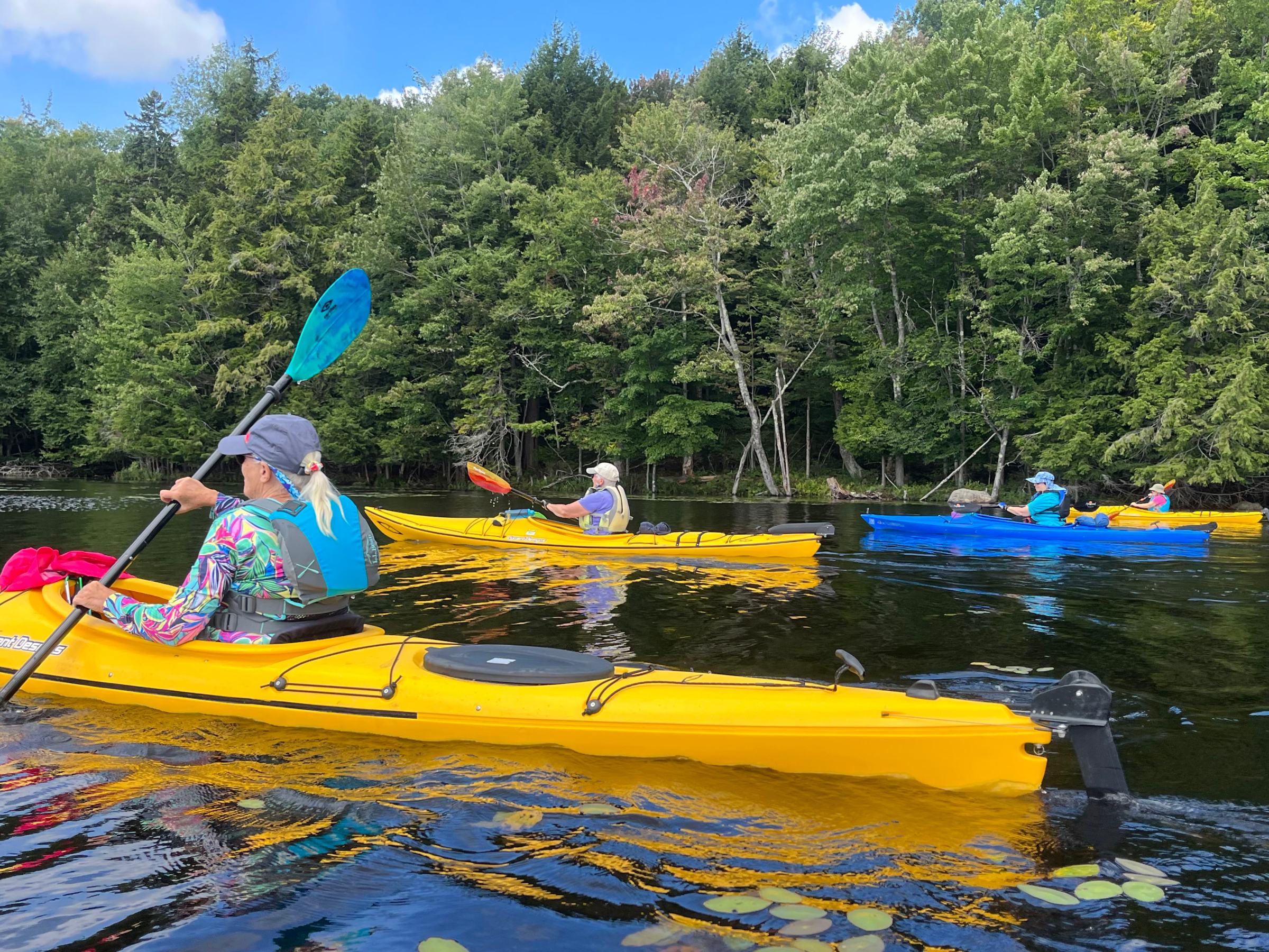 a group of people paddling kayaks